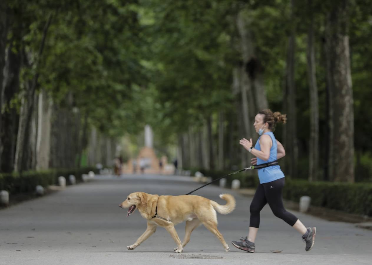 Parque de María Luisa, el gimnasio de los sevillanos