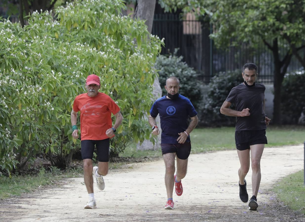 Parque de María Luisa, el gimnasio de los sevillanos