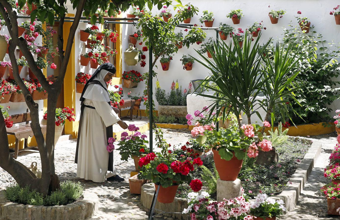 Los preparativos de los Patios de Córdoba, en imágenes