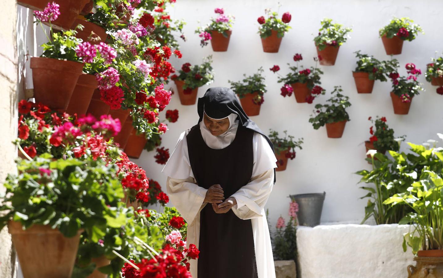 Los preparativos de los Patios de Córdoba, en imágenes