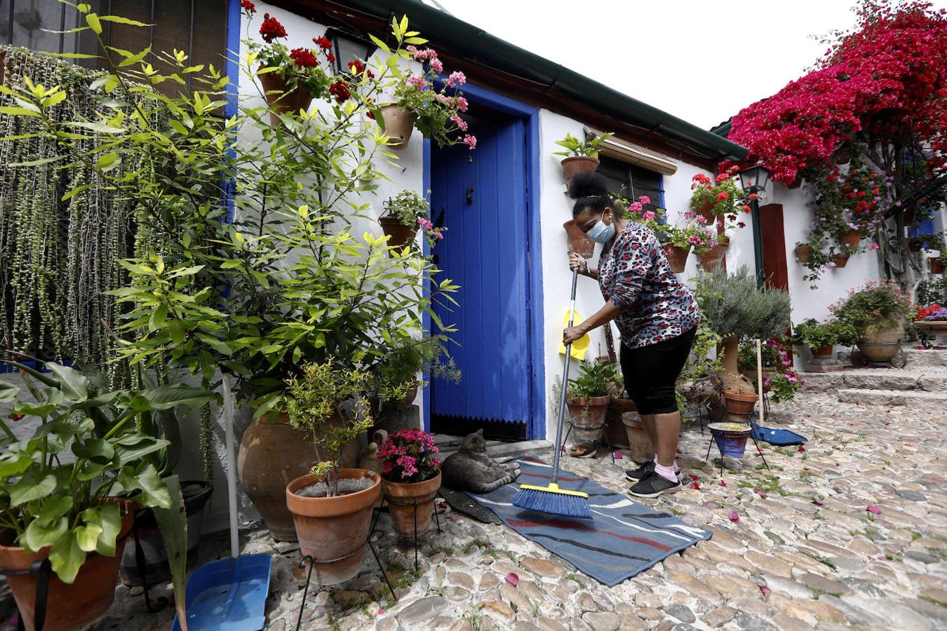 Los preparativos de los Patios de Córdoba, en imágenes