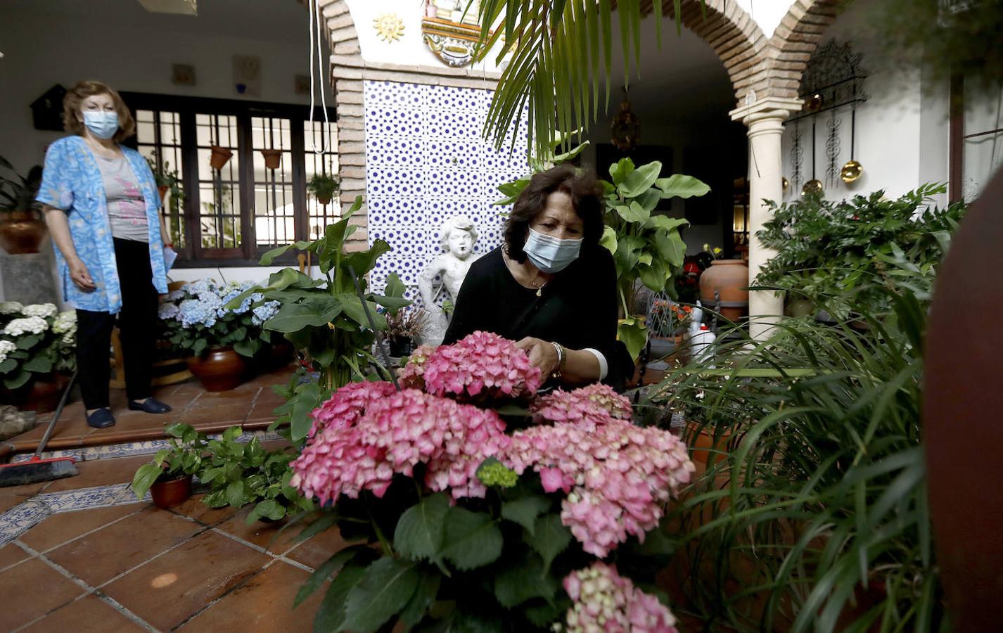 Los preparativos de los Patios de Córdoba, en imágenes