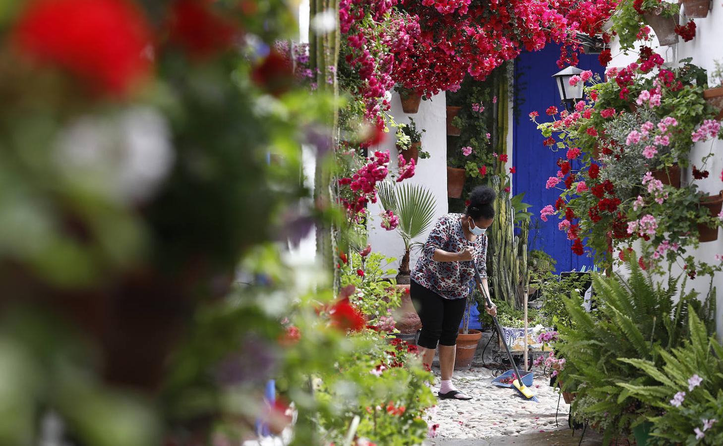 Los preparativos de los Patios de Córdoba, en imágenes