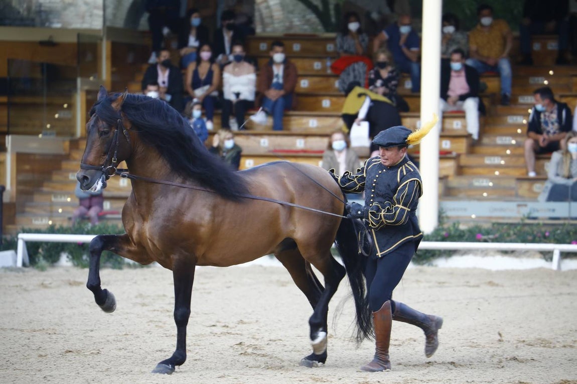 El espectáculo vuelve a las Caballerizas Reales de Córdoba, en imágenes
