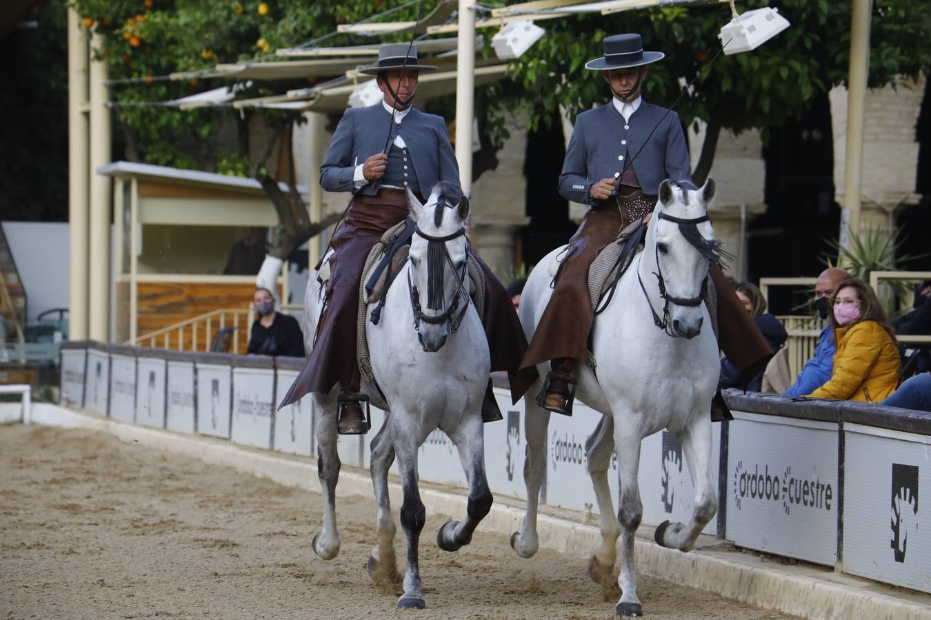 El espectáculo vuelve a las Caballerizas Reales de Córdoba, en imágenes