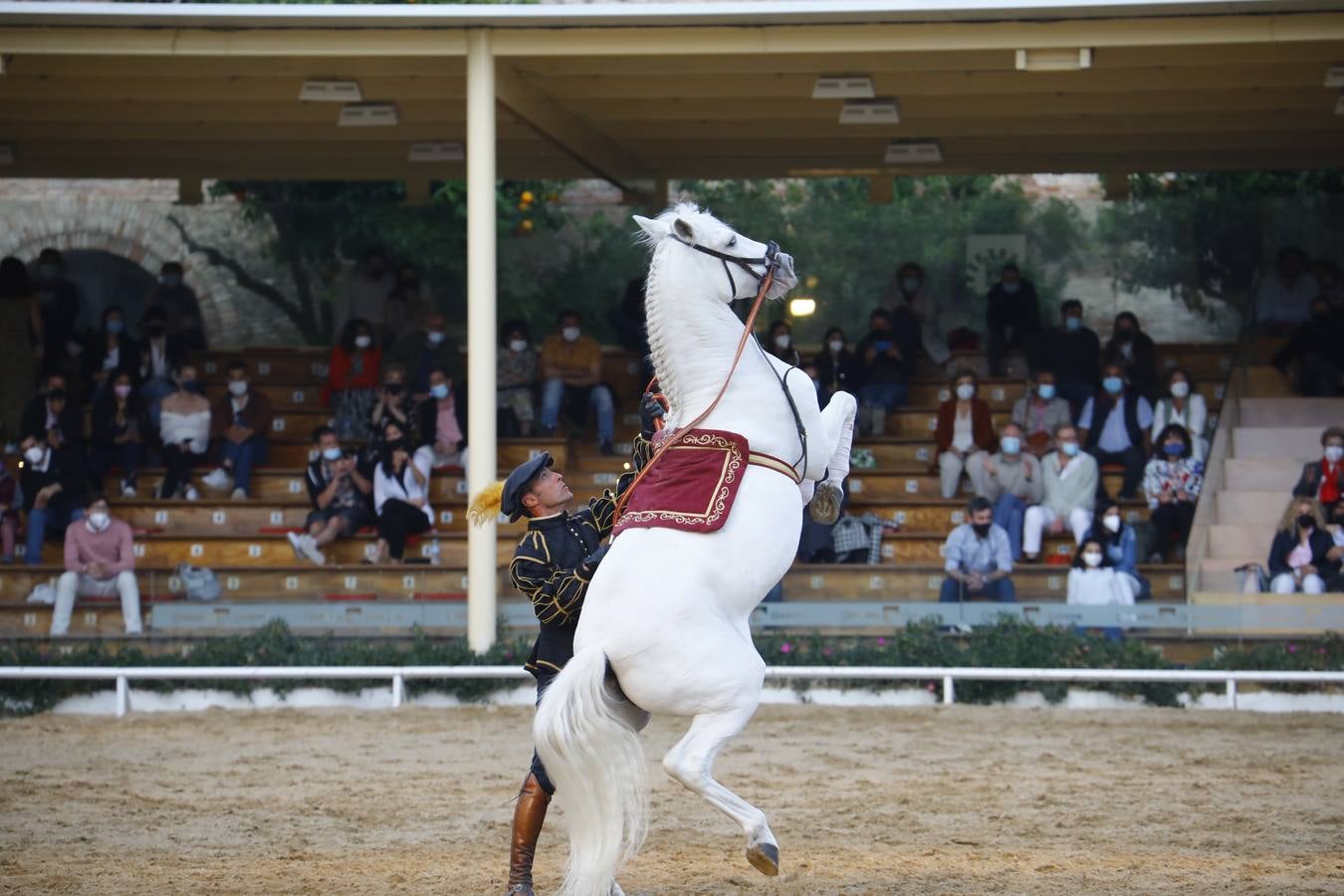 El espectáculo vuelve a las Caballerizas Reales de Córdoba, en imágenes