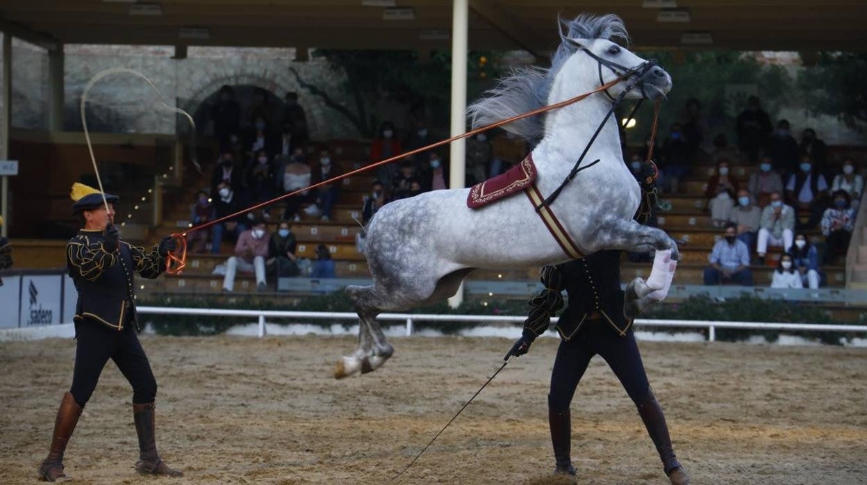 El espectáculo vuelve a las Caballerizas Reales de Córdoba, en imágenes