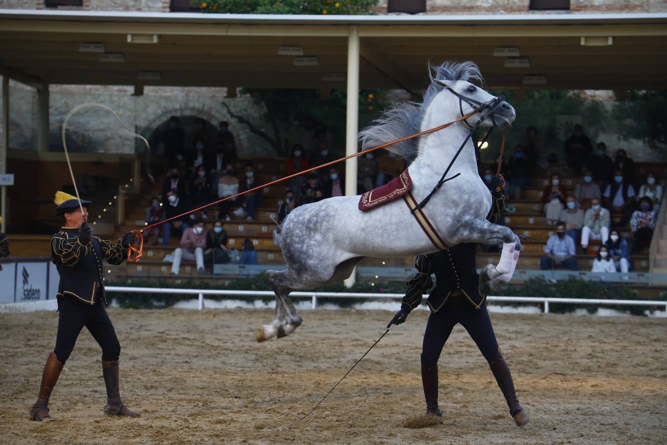 El espectáculo vuelve a las Caballerizas Reales de Córdoba, en imágenes