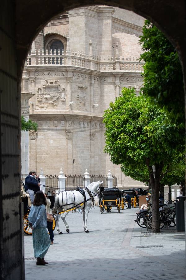 Ambiente del centro de Sevilla