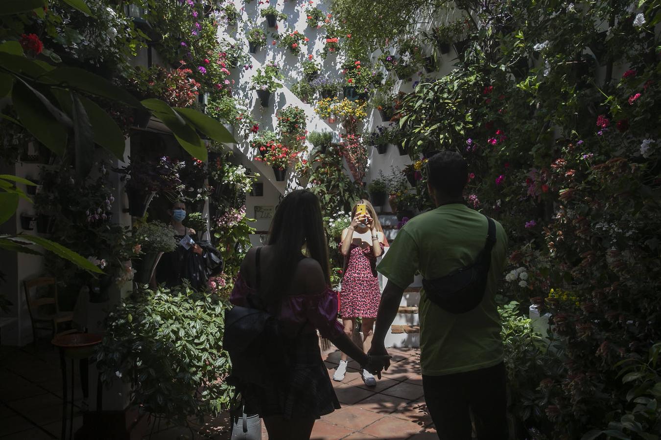 Patios Córdoba 2021 | Los últimos preparativos, en imágenes