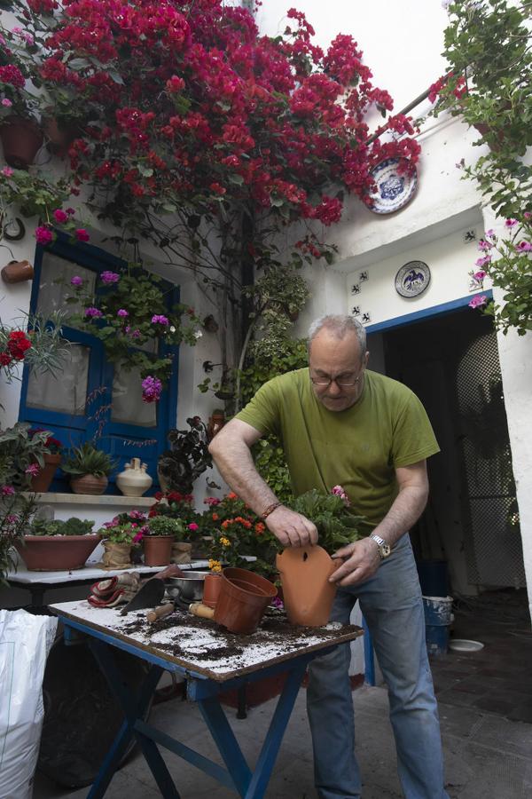 Patios Córdoba 2021 | Los últimos preparativos, en imágenes