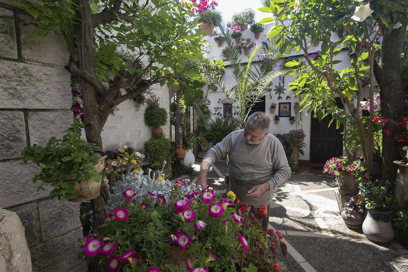 Patios Córdoba 2021 | Los últimos preparativos, en imágenes