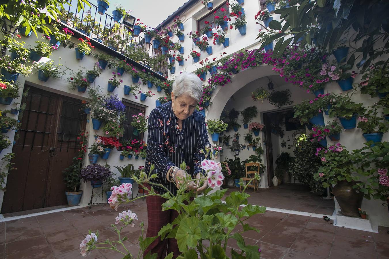 Patios Córdoba 2021 | Los últimos preparativos, en imágenes