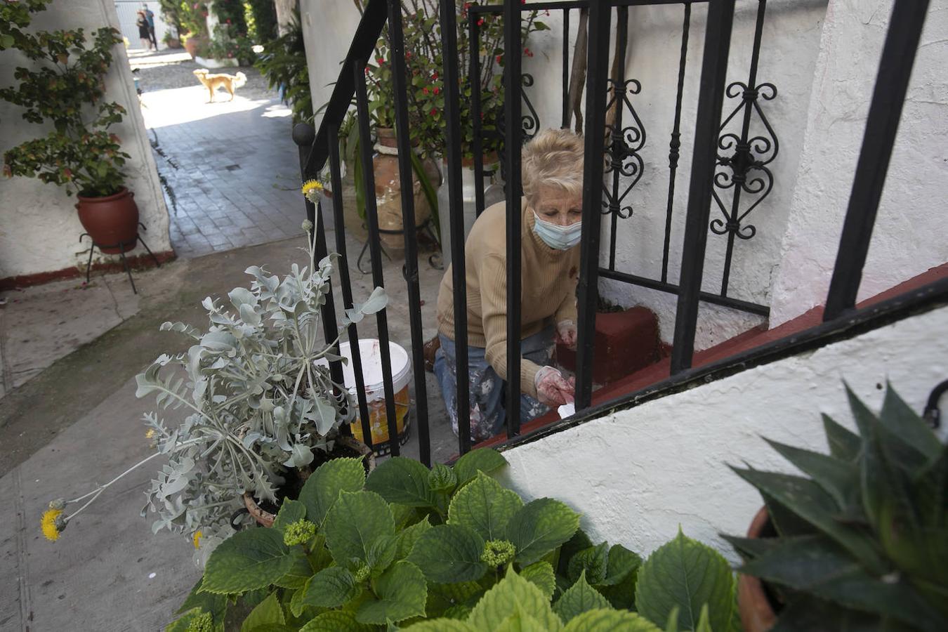 Patios Córdoba 2021 | Los últimos preparativos, en imágenes