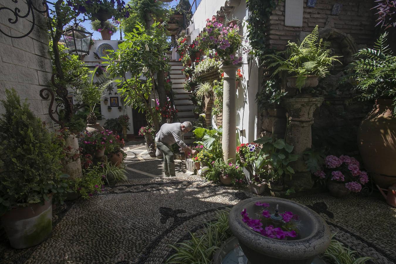 Patios Córdoba 2021 | Los últimos preparativos, en imágenes