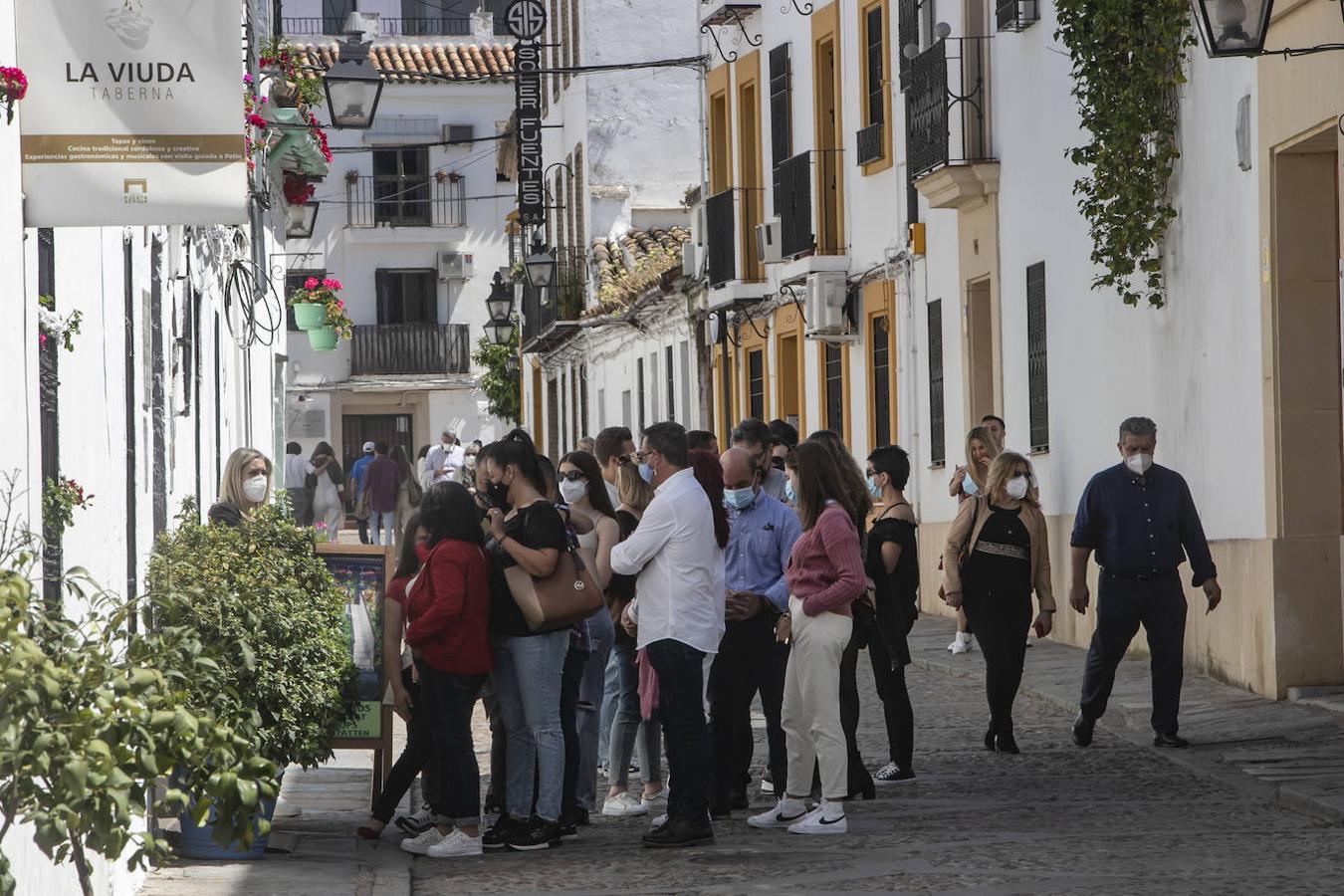 Patios Córdoba 2021 | Los últimos preparativos, en imágenes