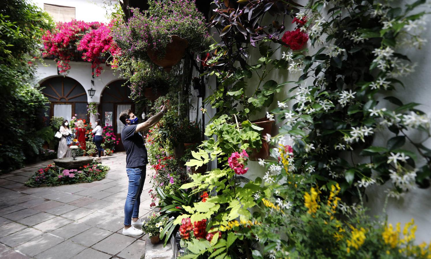 Patios de Córdoba 2021 | La ruta de Santiago y San Pedro, en imágenes