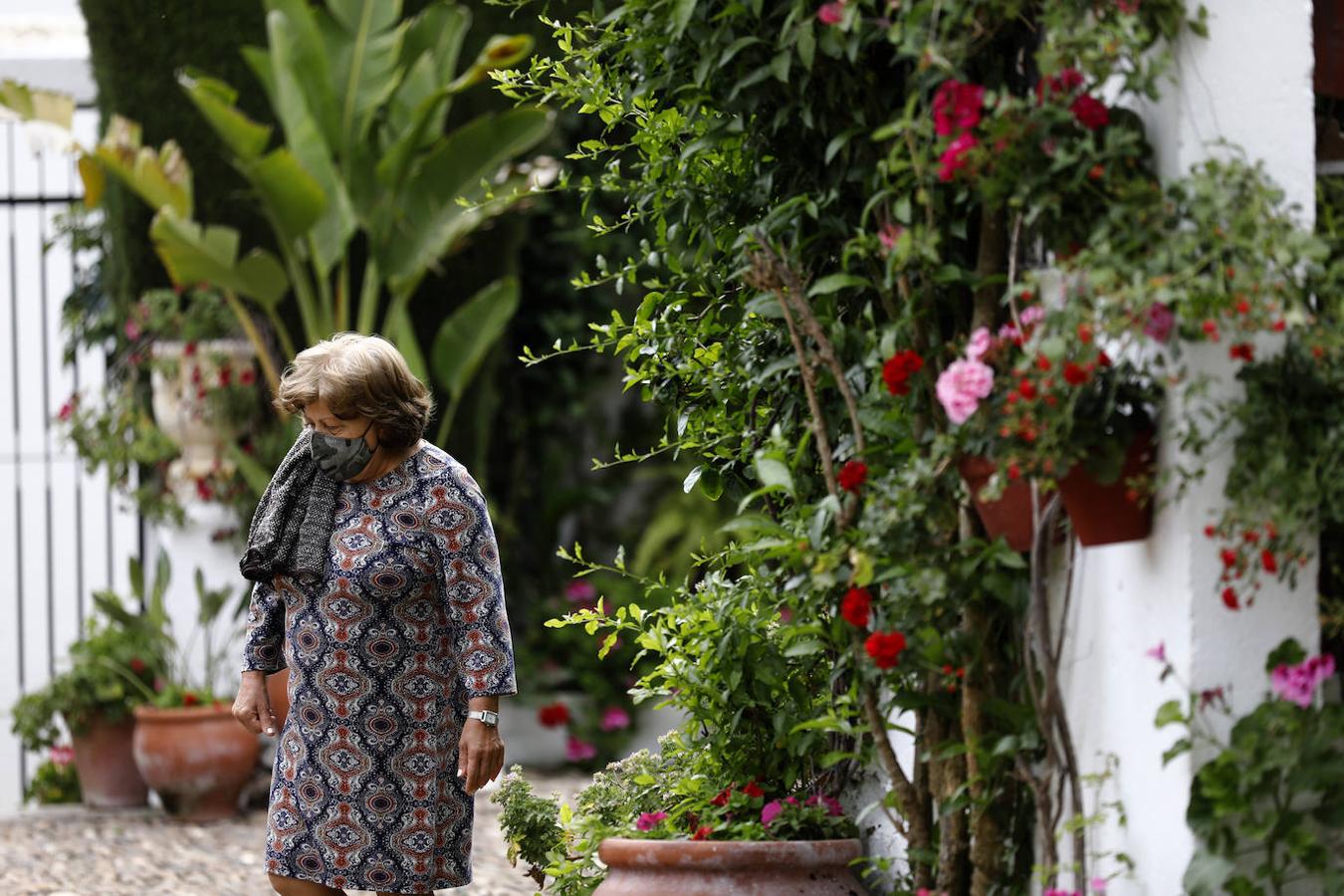 Patios de Córdoba 2021 | La ruta de Santiago y San Pedro, en imágenes