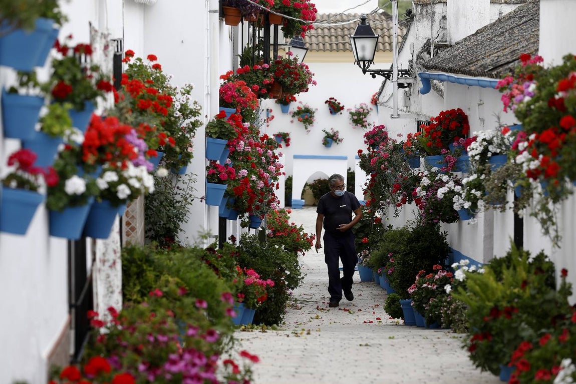 Cañete de las Torres y su paraíso floral, en imágenes