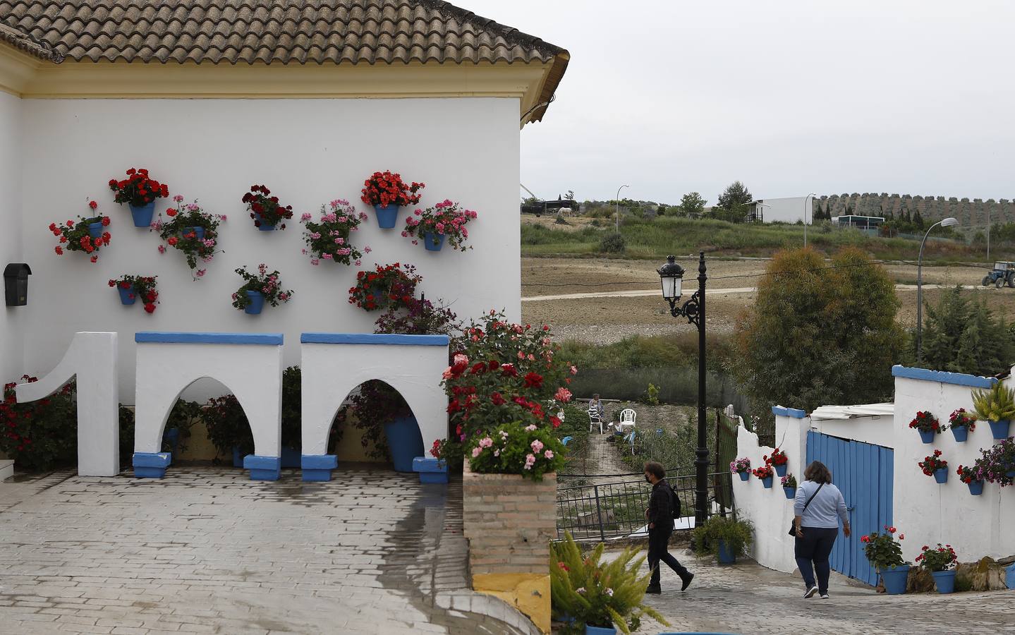 Cañete de las Torres y su paraíso floral, en imágenes