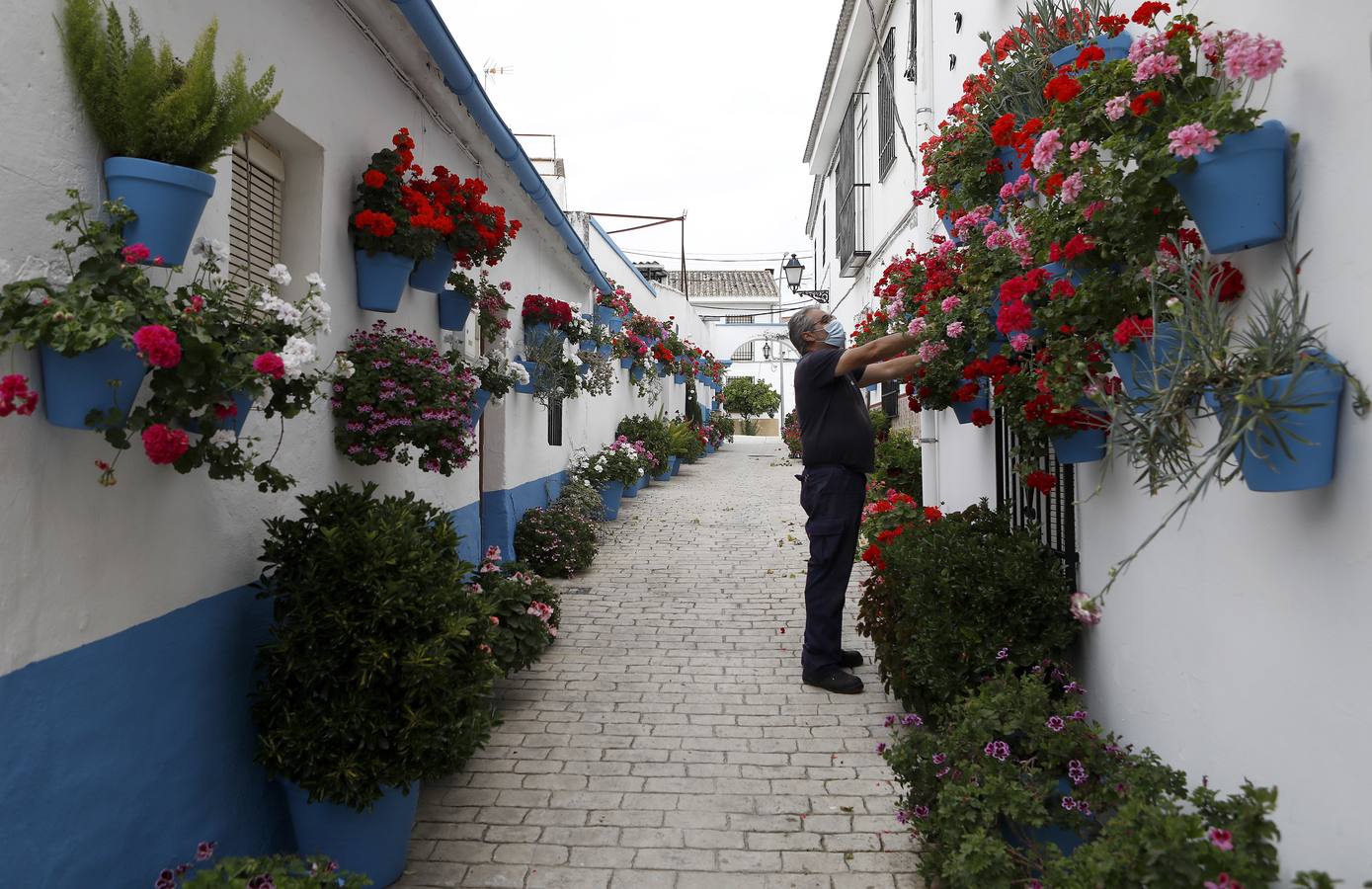 Cañete de las Torres y su paraíso floral, en imágenes