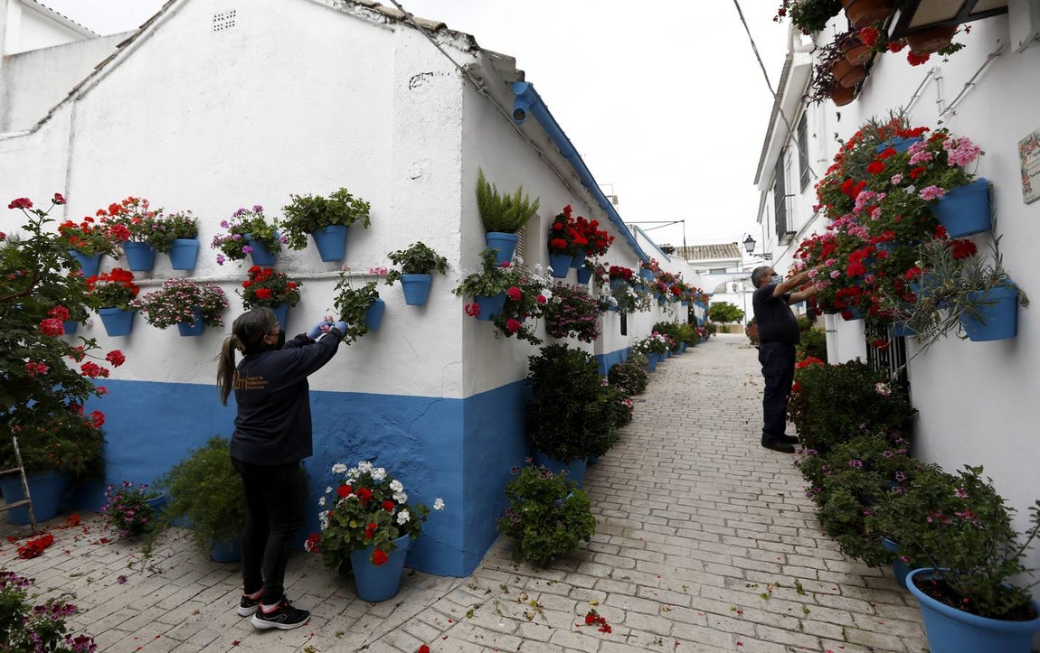 Cañete de las Torres y su paraíso floral, en imágenes