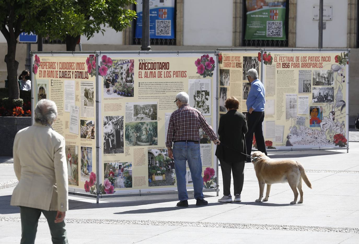 La exposición sobre los Patios de Córdoba, en imágenes