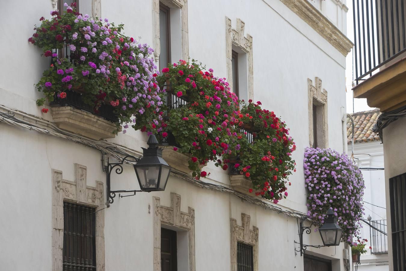 Los premios de Rejas y Balcones de Córdoba, en imágenes