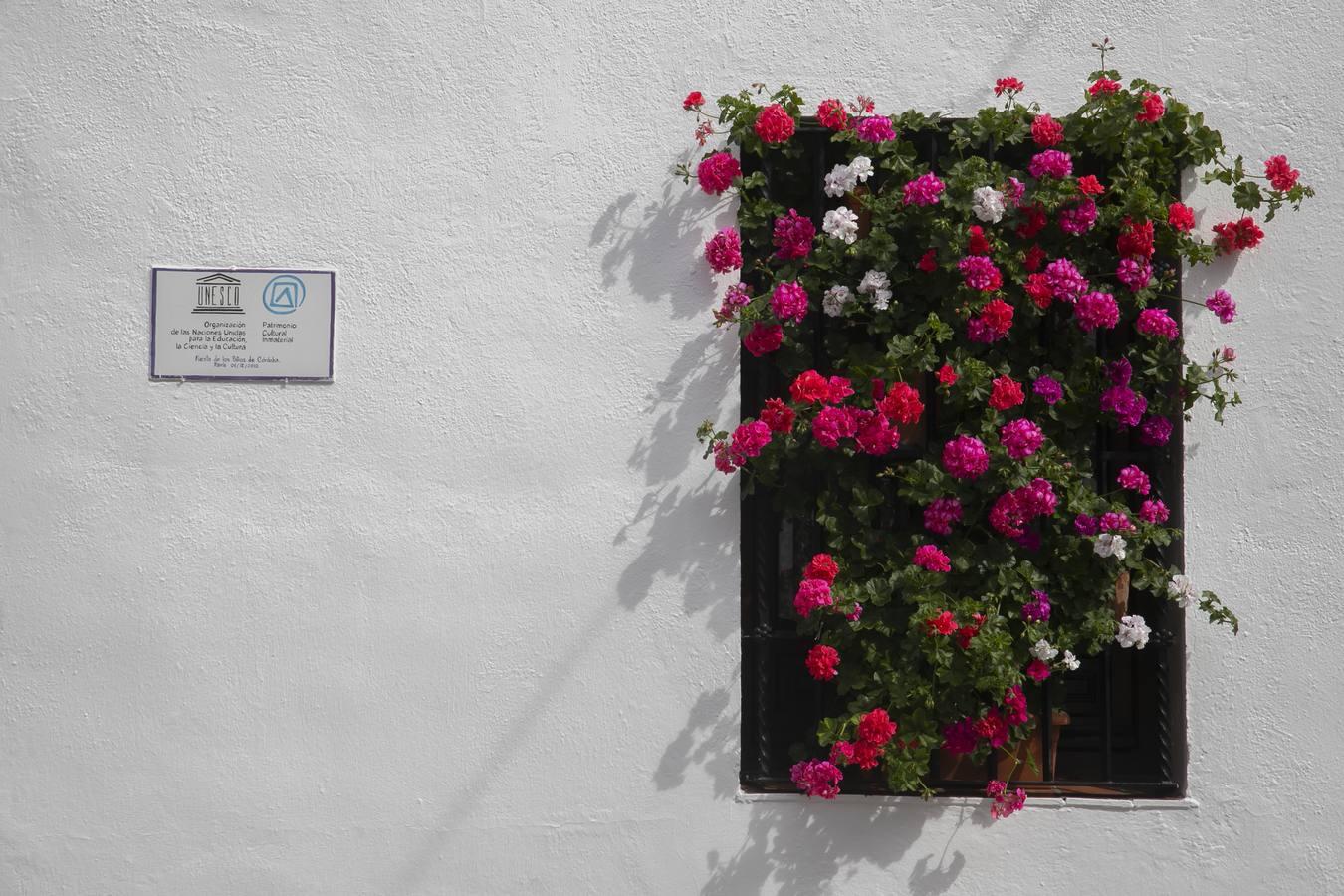 Los premios de Rejas y Balcones de Córdoba, en imágenes