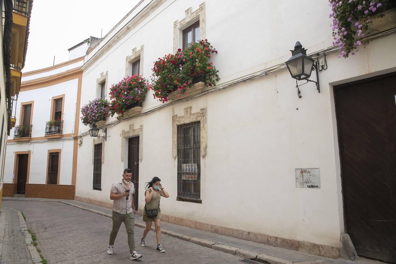 Los premios de Rejas y Balcones de Córdoba, en imágenes