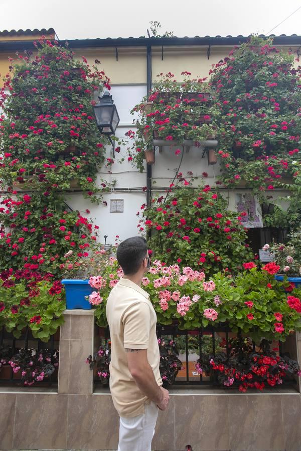 Los premios de Rejas y Balcones de Córdoba, en imágenes