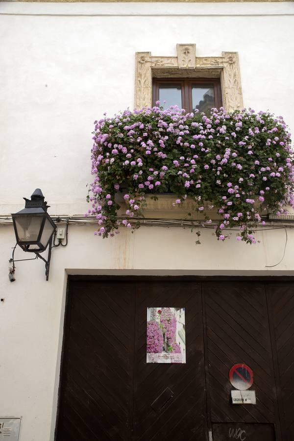 Los premios de Rejas y Balcones de Córdoba, en imágenes