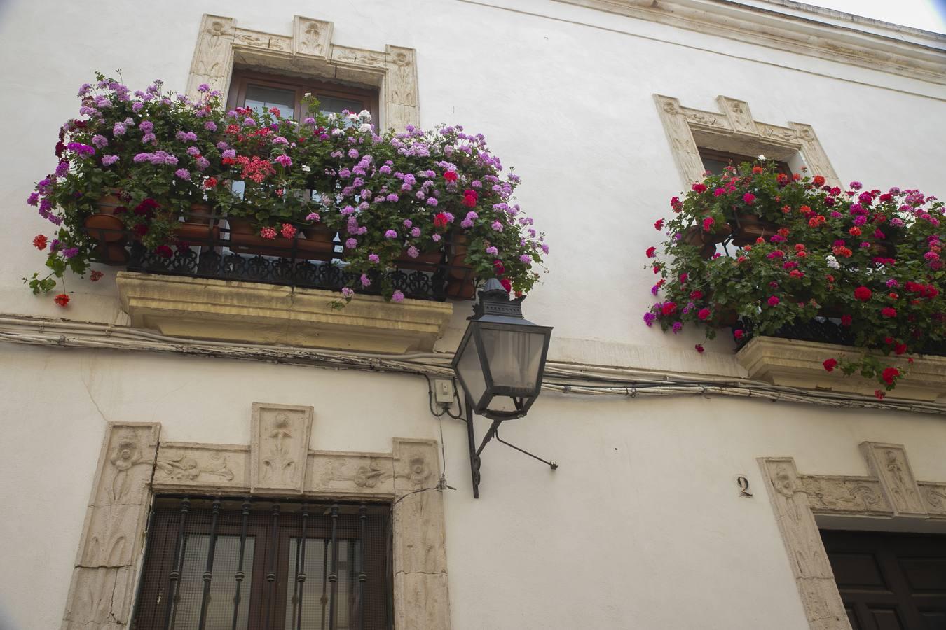 Los premios de Rejas y Balcones de Córdoba, en imágenes