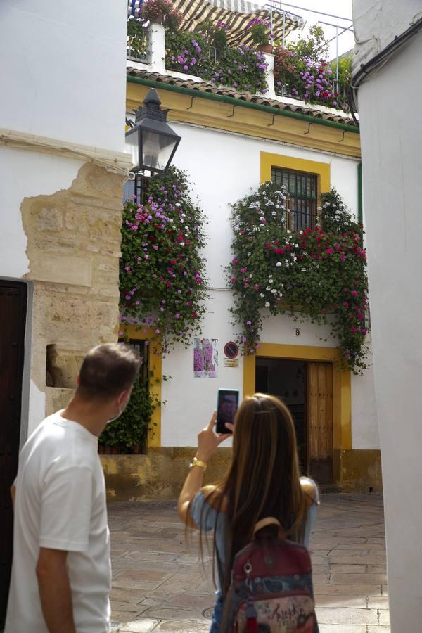 Los premios de Rejas y Balcones de Córdoba, en imágenes