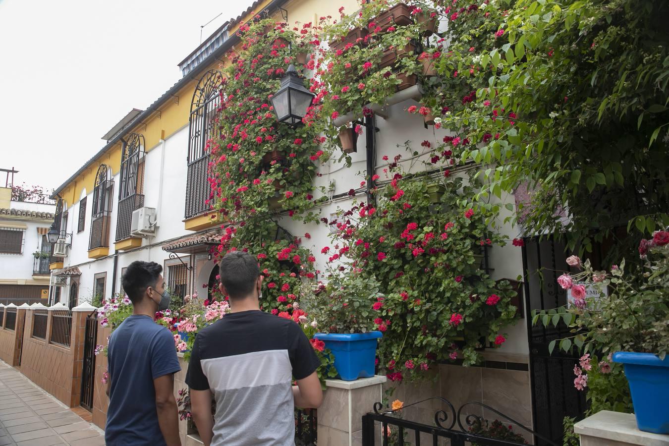 Los premios de Rejas y Balcones de Córdoba, en imágenes