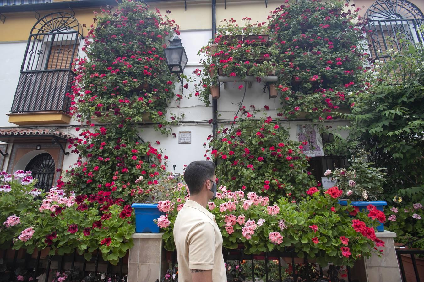 Los premios de Rejas y Balcones de Córdoba, en imágenes