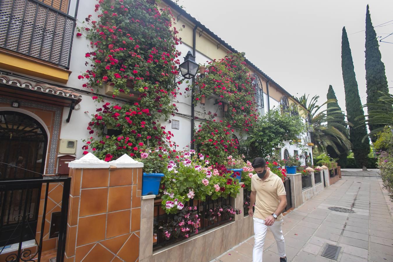 Los premios de Rejas y Balcones de Córdoba, en imágenes