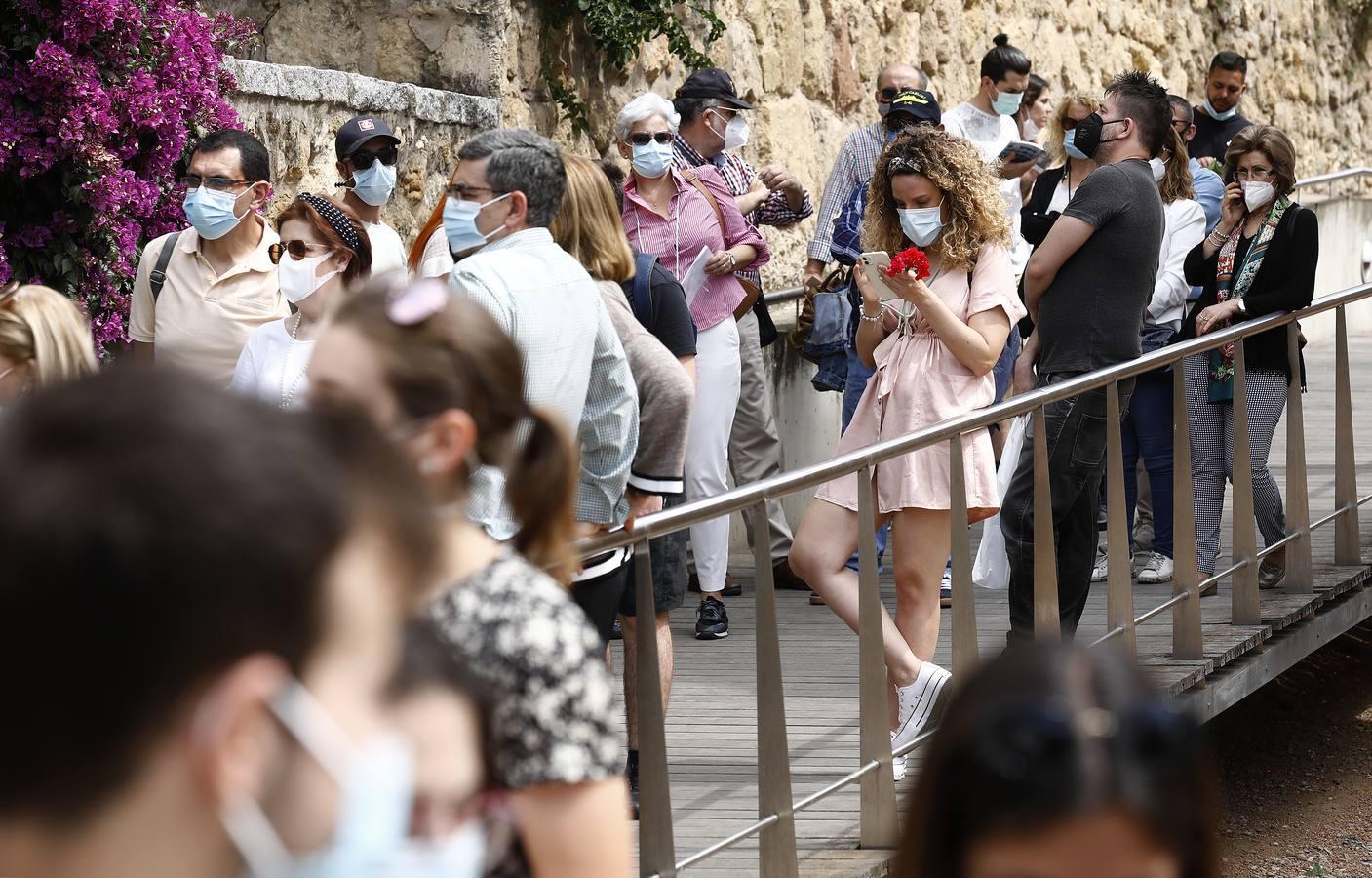 El sábado de Patios en Córdoba, en imágenes