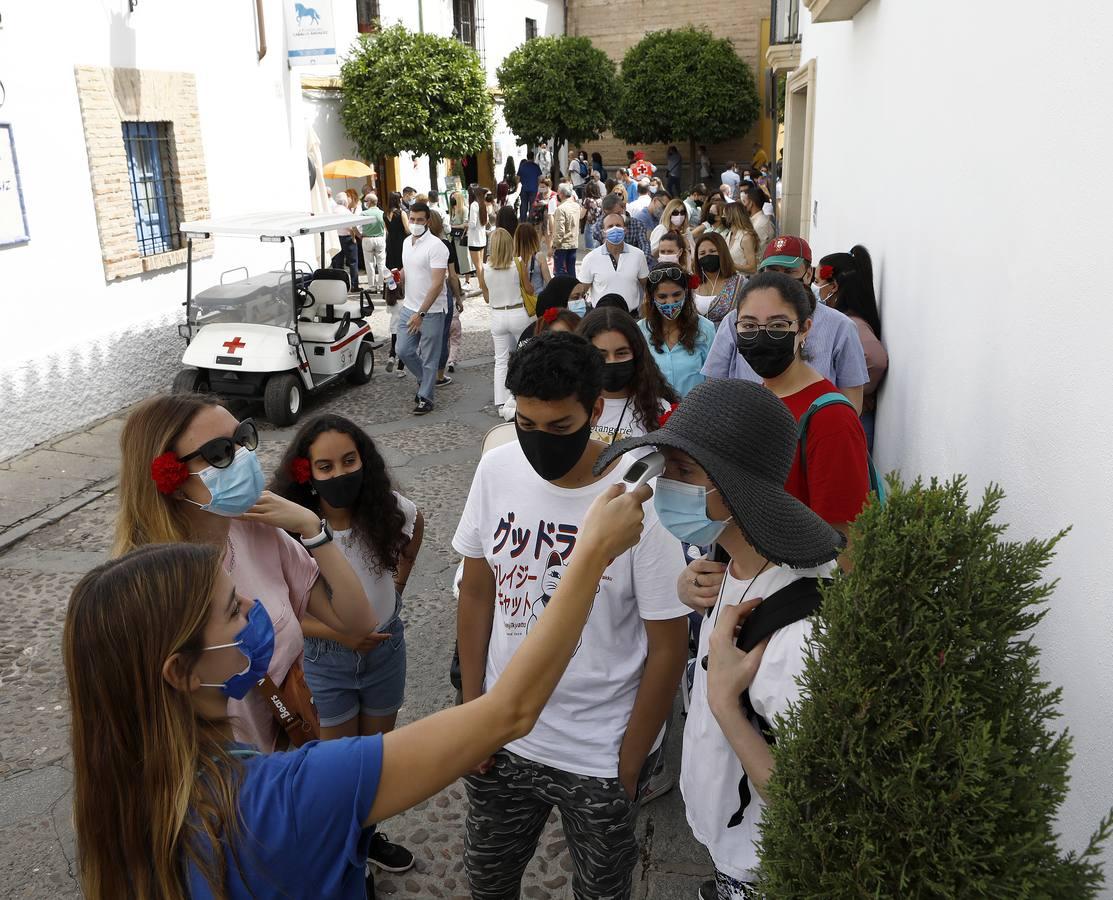 El sábado de Patios en Córdoba, en imágenes