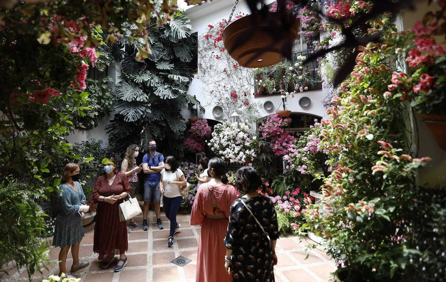 El sábado de Patios en Córdoba, en imágenes