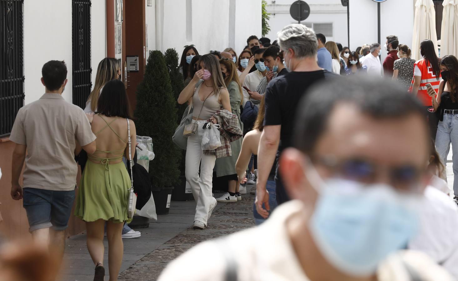 El sábado de Patios en Córdoba, en imágenes