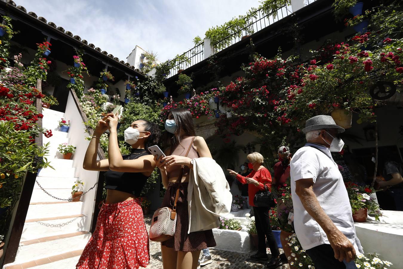 El sábado de Patios en Córdoba, en imágenes