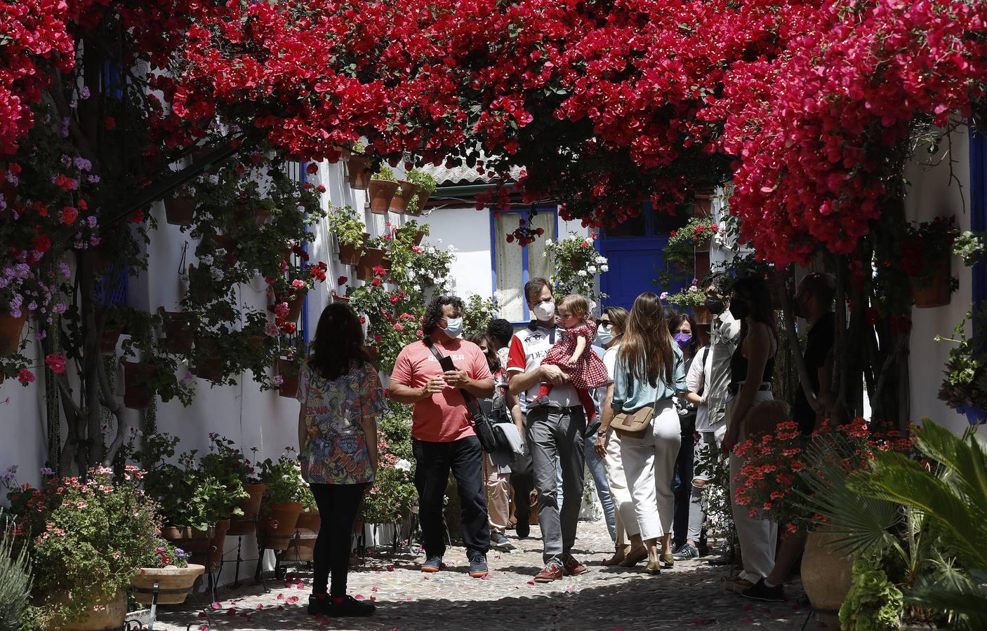 El sábado de Patios en Córdoba, en imágenes