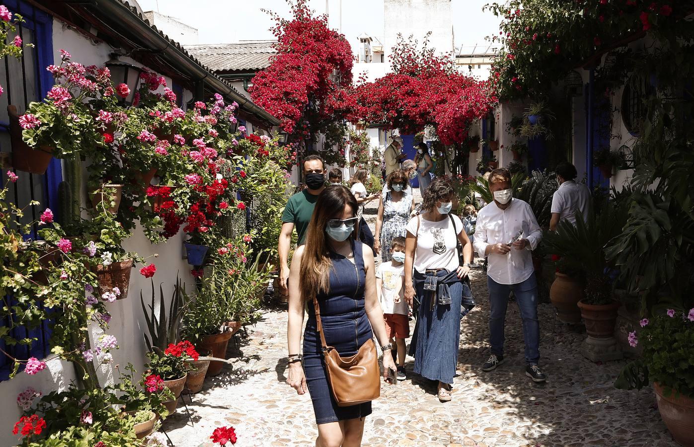 El sábado de Patios en Córdoba, en imágenes