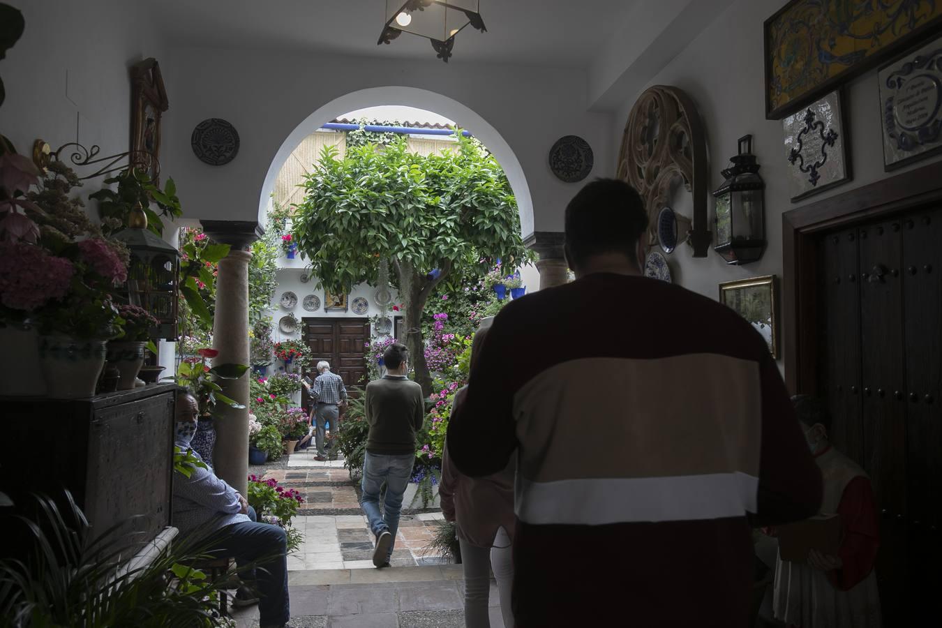 Los patios de San Lorenzo y San Agustín de Córdoba, en imágenes