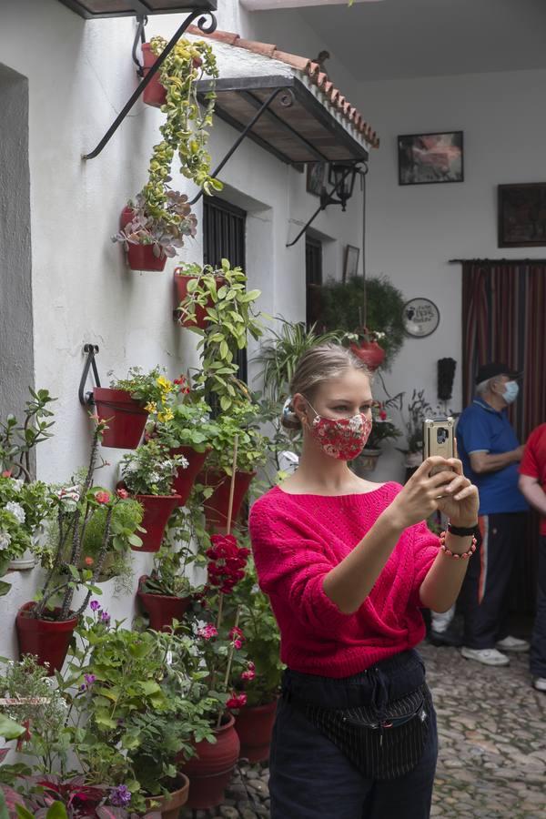 Los patios de San Lorenzo y San Agustín de Córdoba, en imágenes