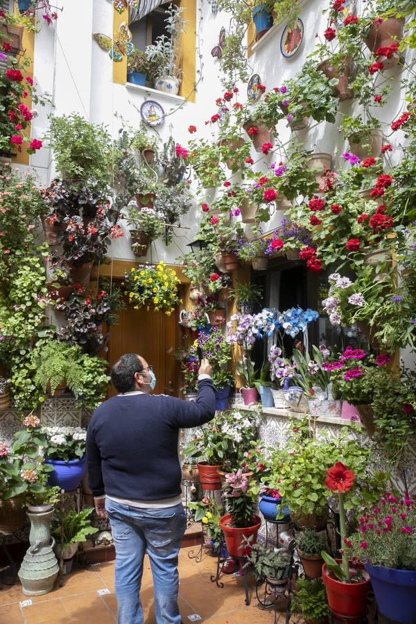 Los patios de San Lorenzo y San Agustín de Córdoba, en imágenes