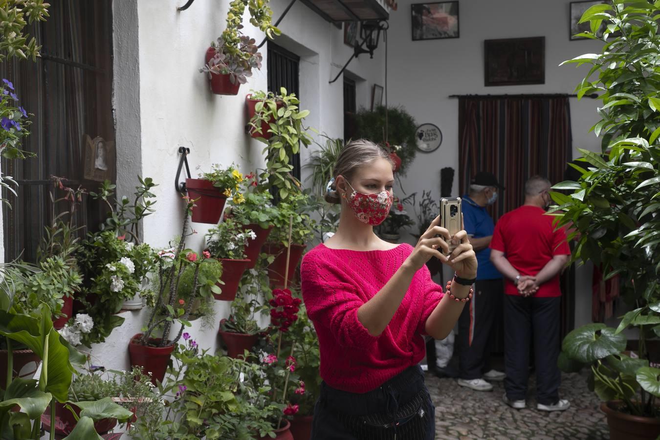 Los patios de San Lorenzo y San Agustín de Córdoba, en imágenes