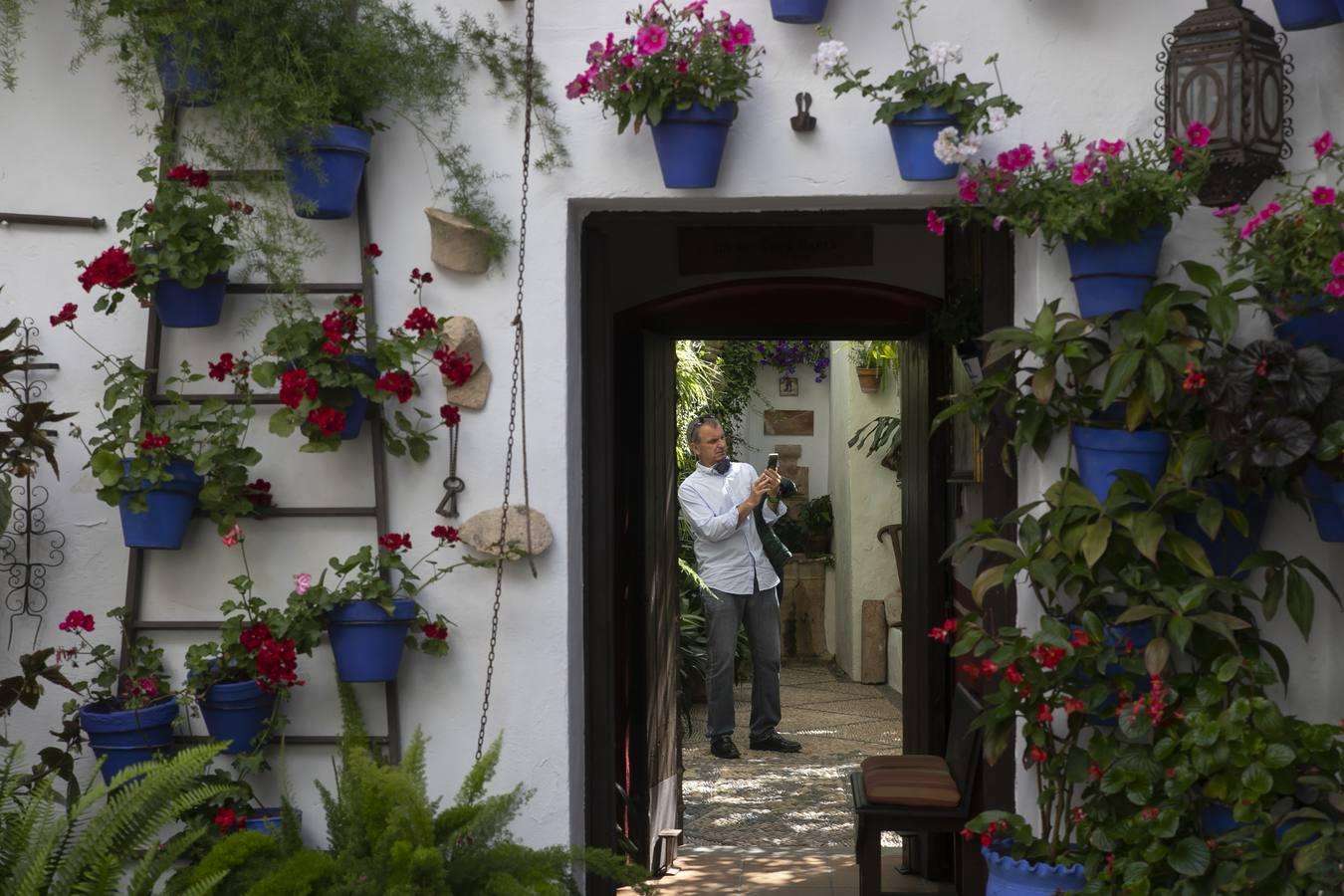 Los patios de San Lorenzo y San Agustín de Córdoba, en imágenes