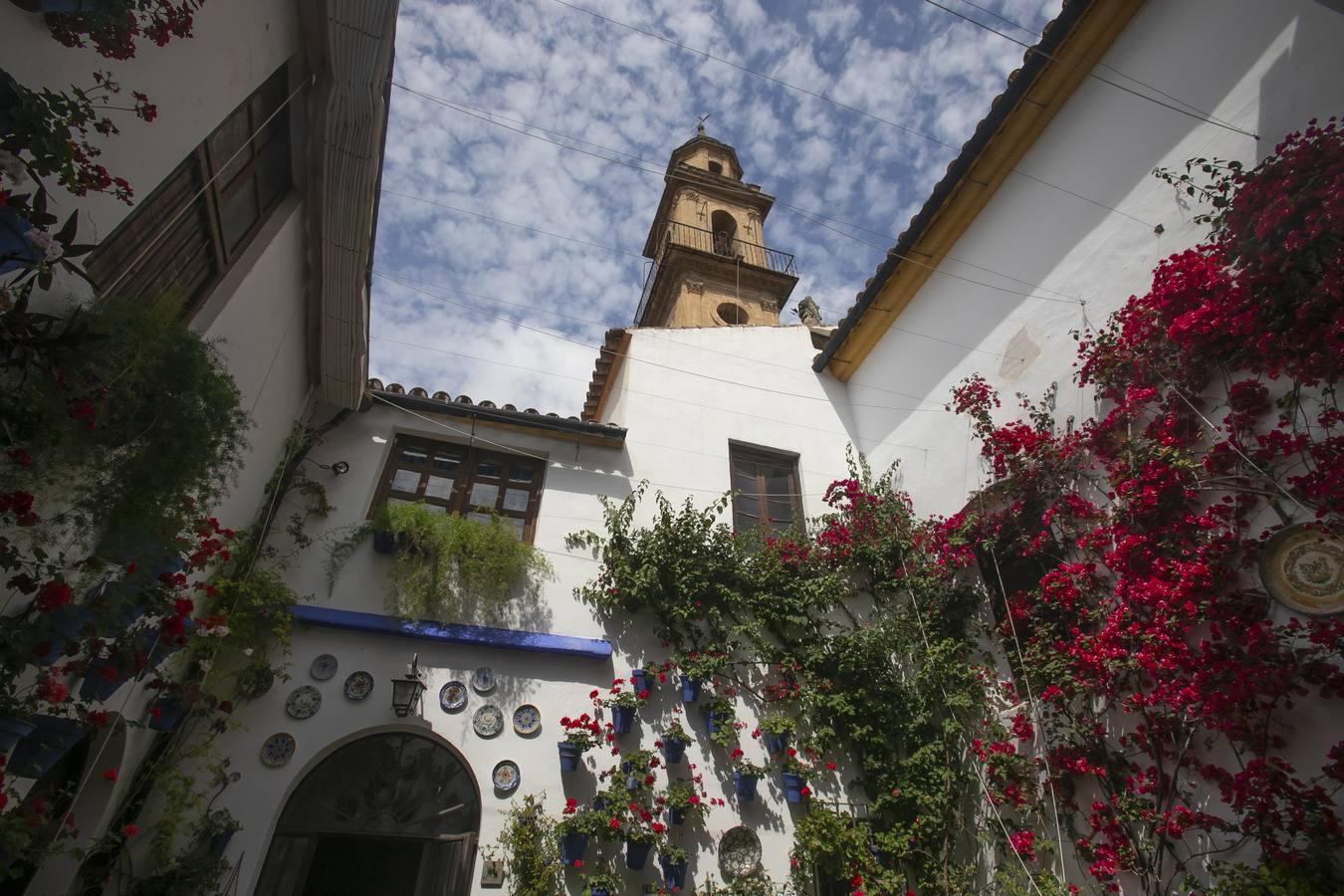 Los patios de San Lorenzo y San Agustín de Córdoba, en imágenes